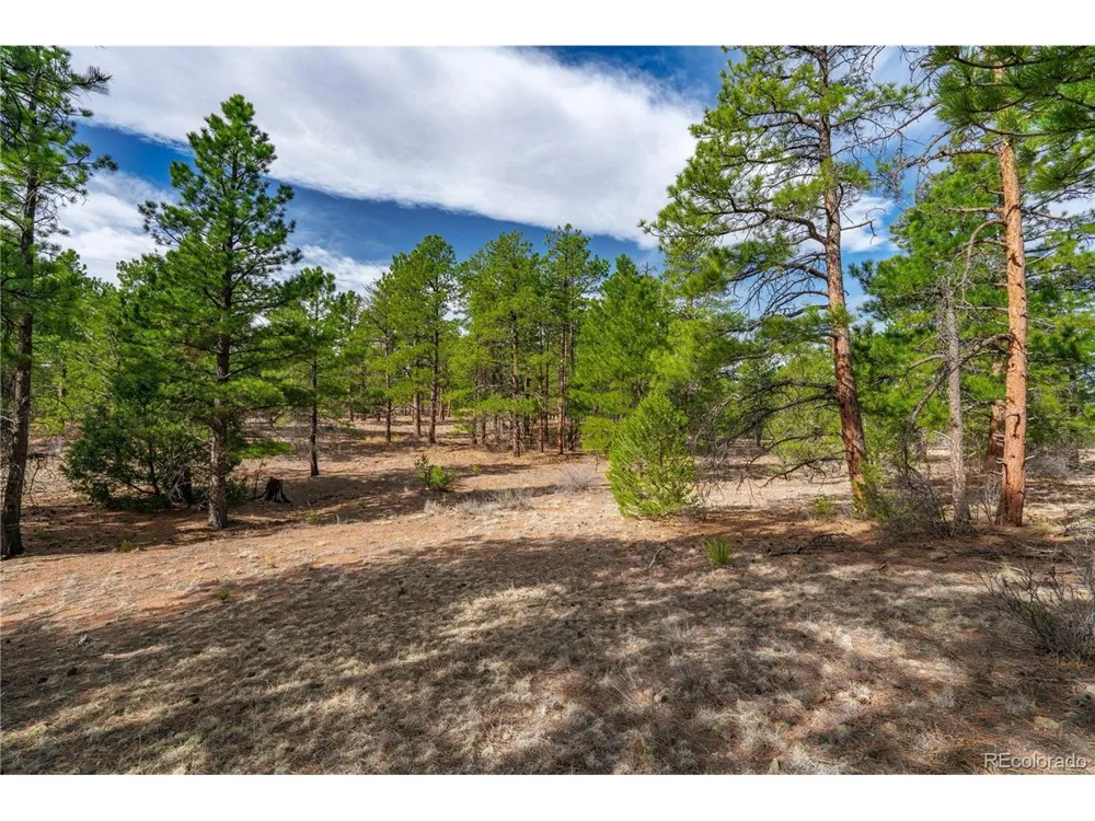 870 Oak Drive Westcliffe, CO 81252