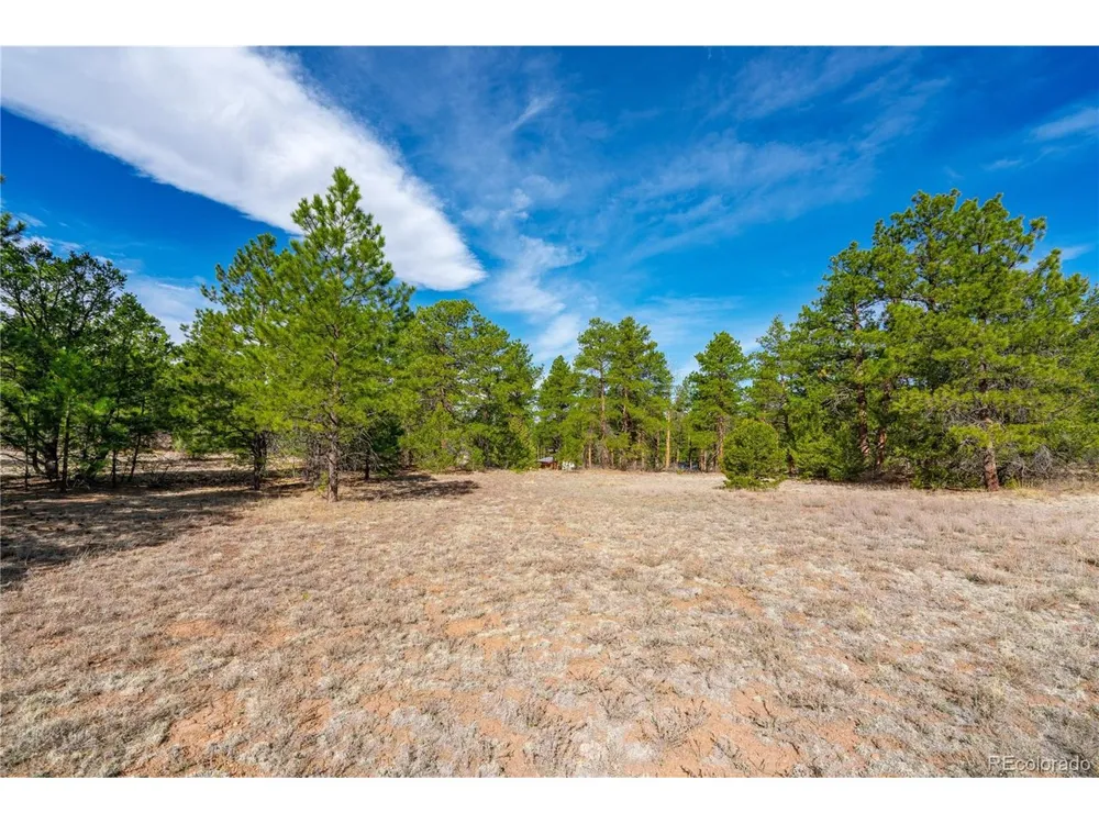 870 Oak Drive Westcliffe, CO 81252
