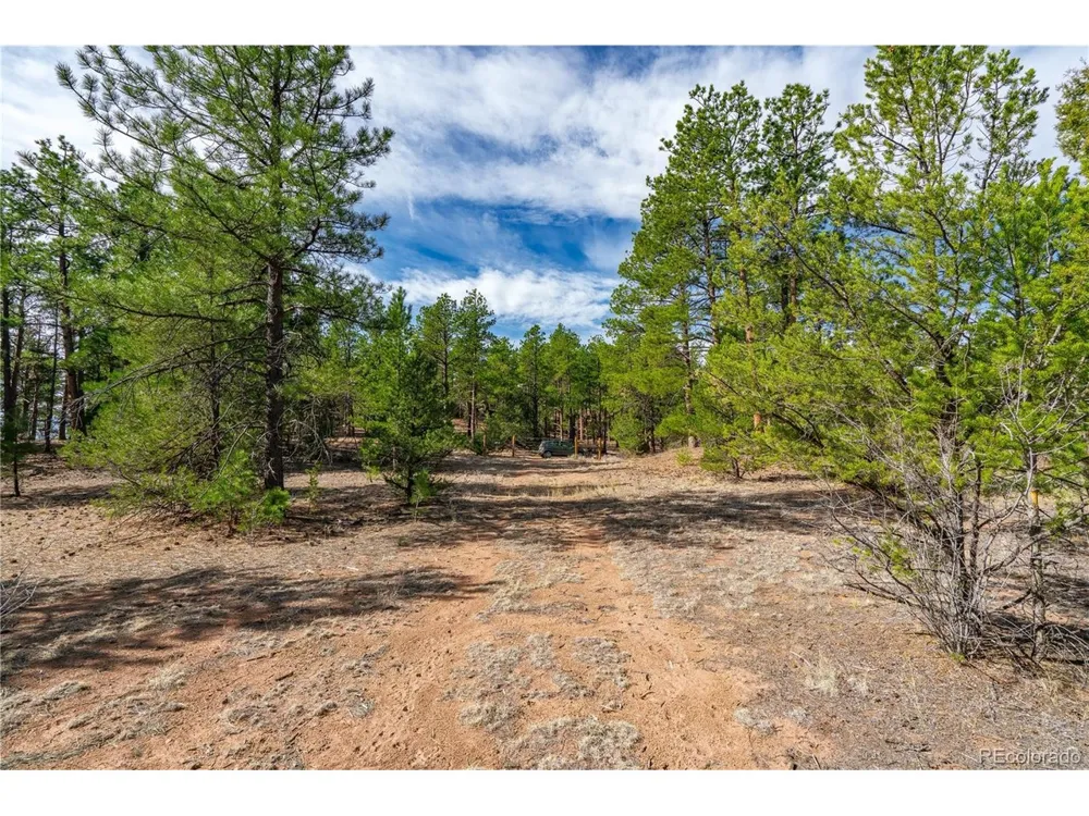 870 Oak Drive Westcliffe, CO 81252