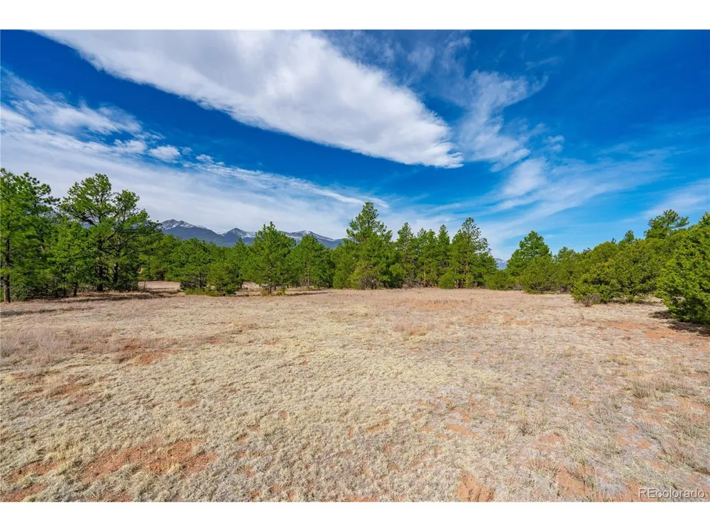 870 Oak Drive Westcliffe, CO 81252