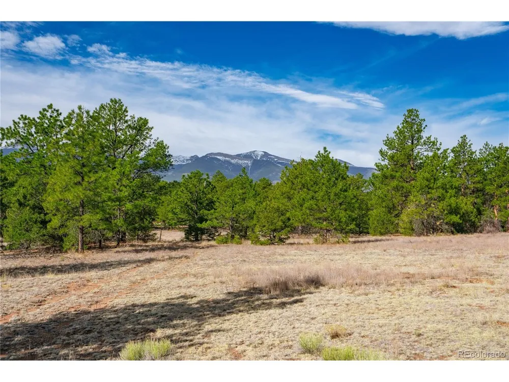 870 Oak Drive Westcliffe, CO 81252