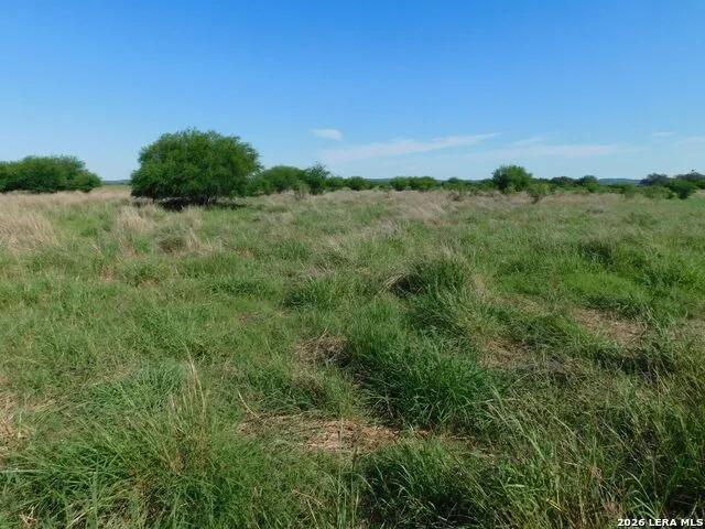 10566 Texas 127 Sabinal, TX 78881