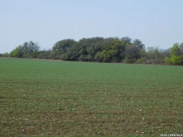 10566 Texas 127 Sabinal, TX 78881