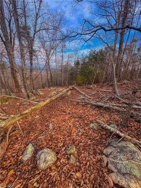 2243 Sierra Trace Road Denton, NC 27239