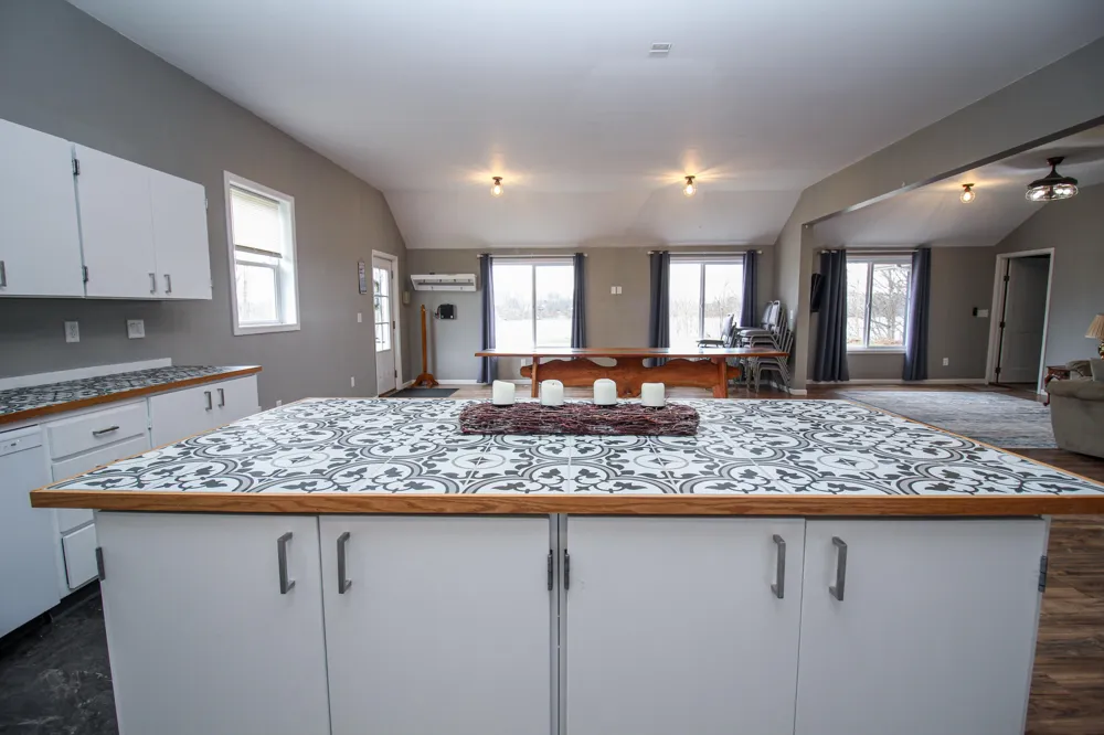 12039 Bair Lake Street Jones, MI 49061