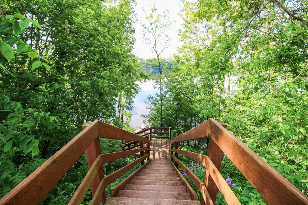 12039 Bair Lake Street Jones, MI 49061