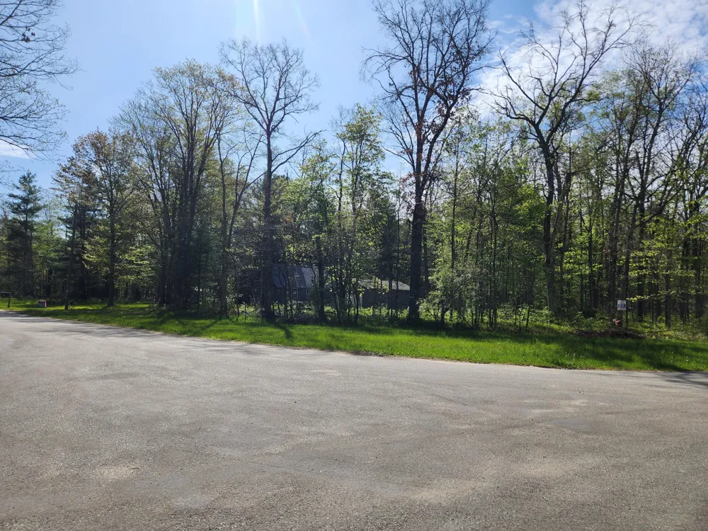 1041 Wolf Lake Drive Baldwin, MI 49304