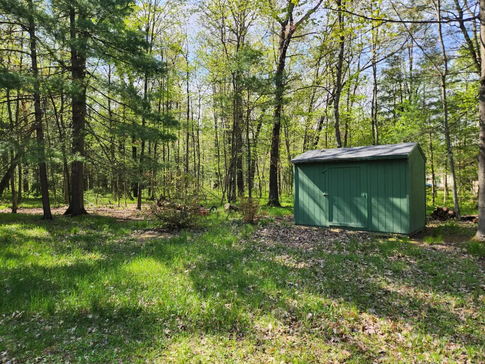1041 Wolf Lake Drive Baldwin, MI 49304
