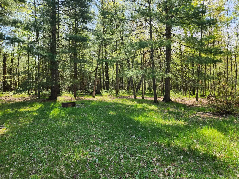 1041 Wolf Lake Drive Baldwin, MI 49304