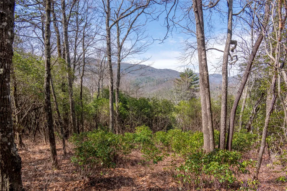 LS 14 Lakeside Drive Lake Toxaway, NC 28747