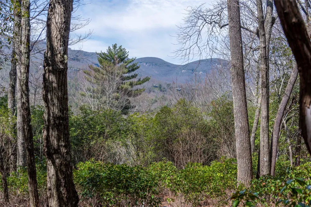 LS 14 Lakeside Drive Lake Toxaway, NC 28747