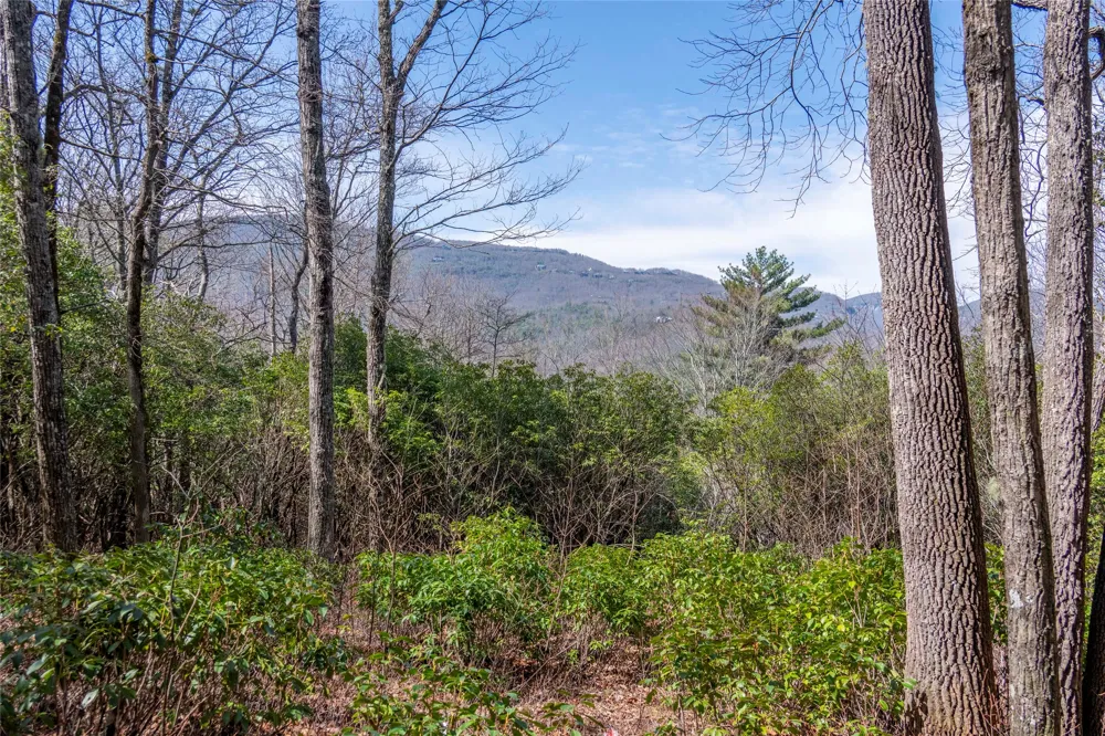 LS 14 Lakeside Drive Lake Toxaway, NC 28747
