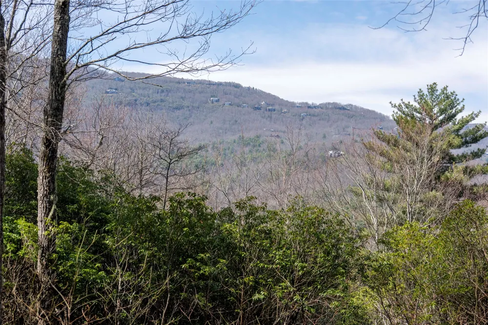 LS 14 Lakeside Drive Lake Toxaway, NC 28747