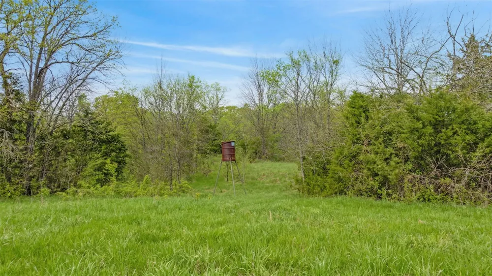 4958 TEXAS HIGHWAY 154 Cooper, TX 75432