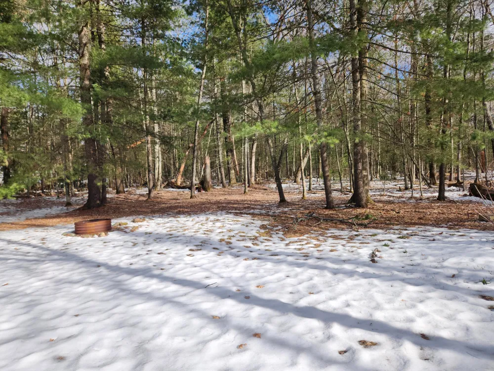 1041 Wolf Lake Drive Peacock Township, MI 49304