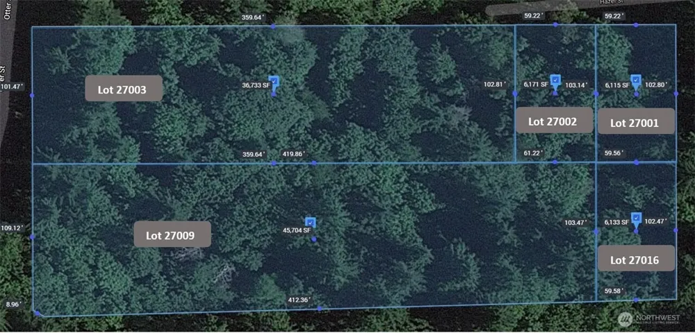 0 Elk Street Shelton, WA 98584