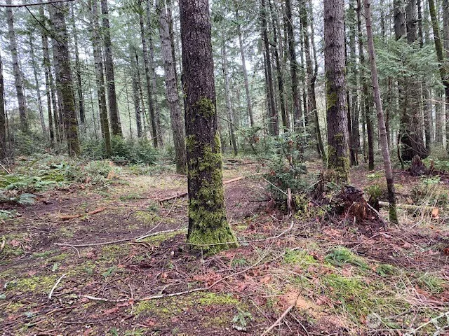 0 Elk Street Shelton, WA 98584