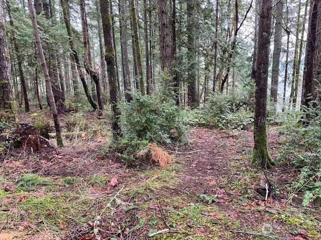 0 Elk Street Shelton, WA 98584