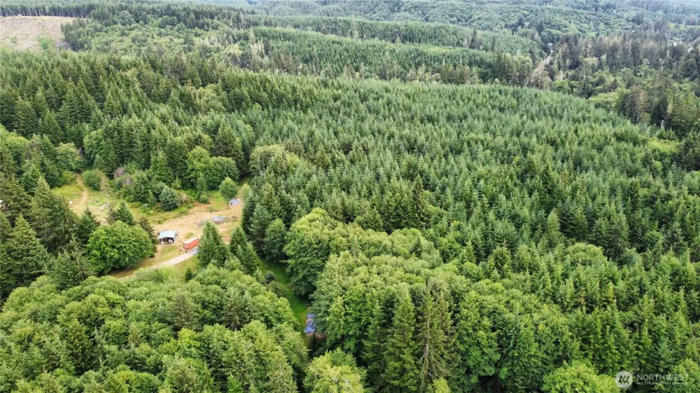 1608 E Hoquiam Road Hoquiam, WA 98550