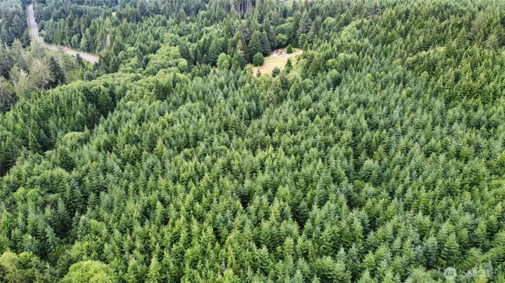 1608 E Hoquiam Road Hoquiam, WA 98550