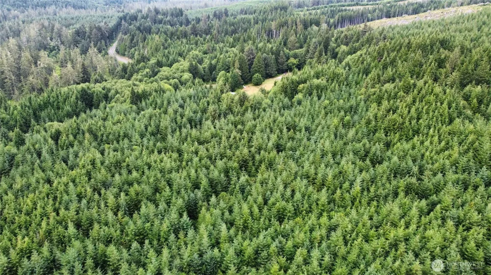 1608 E Hoquiam Road Hoquiam, WA 98550
