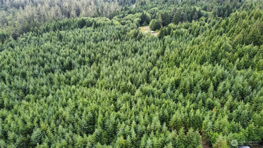 1608 E Hoquiam Road Hoquiam, WA 98550