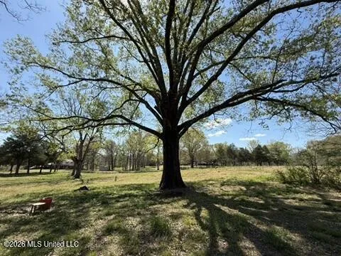1332 Walker Road Terry, MS 39170
