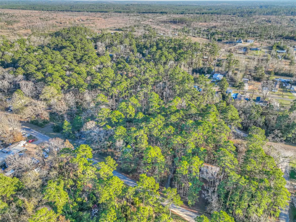 Bluebird Lane Livingston, TX 77351