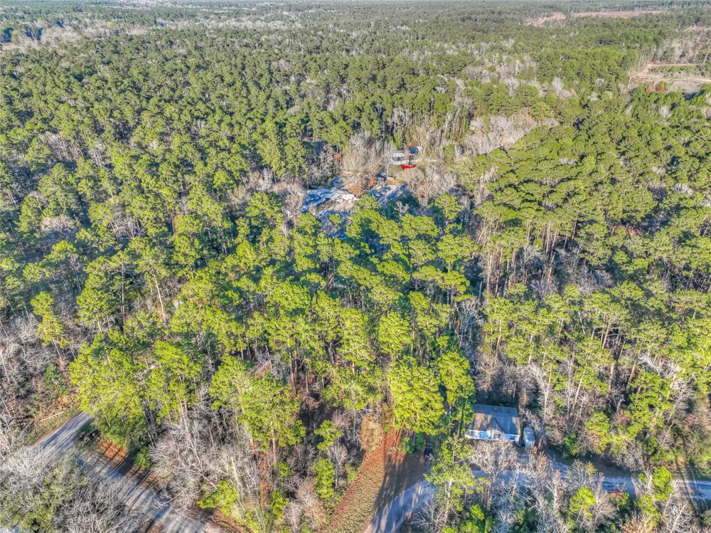 Bluebird Lane Livingston, TX 77351