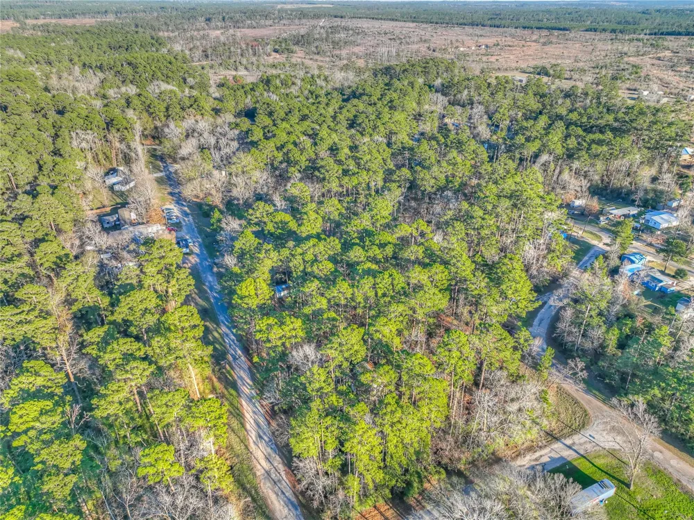 Bluebird Lane Livingston, TX 77351