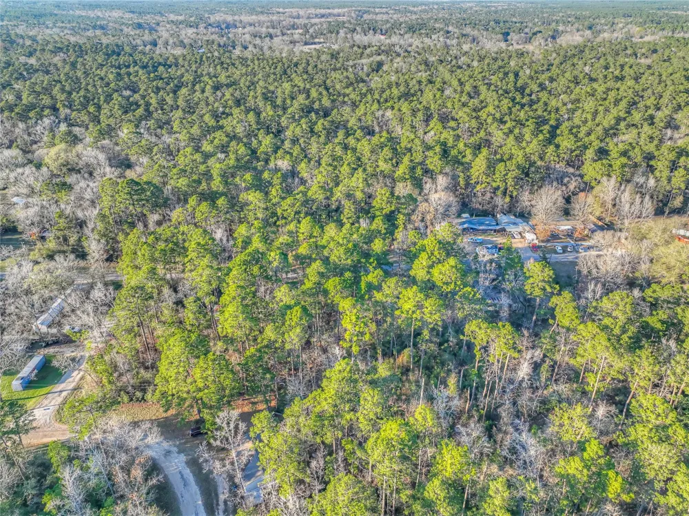 Bluebird Lane Livingston, TX 77351