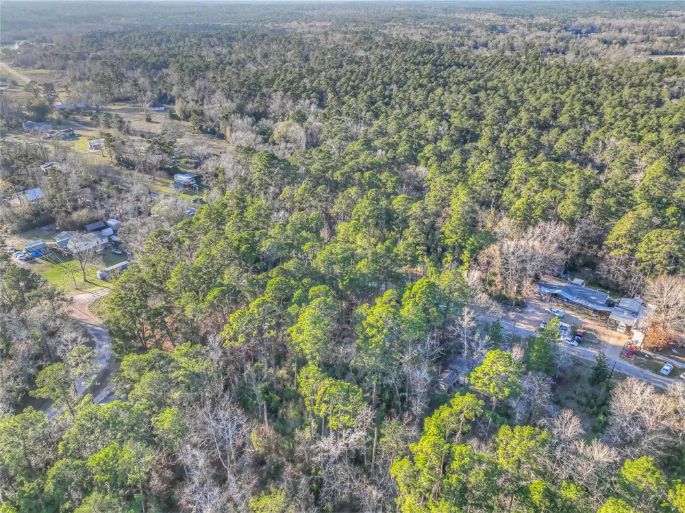 Bluebird Lane Livingston, TX 77351