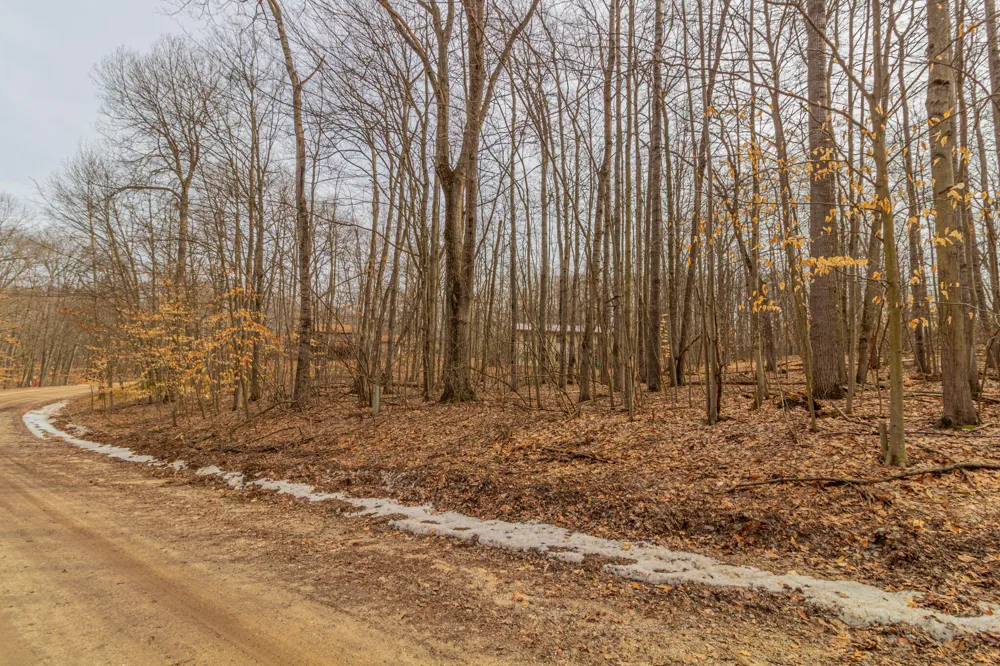 10082 Sante Fe Trail ##94 Canadian Lakes, MI 49346