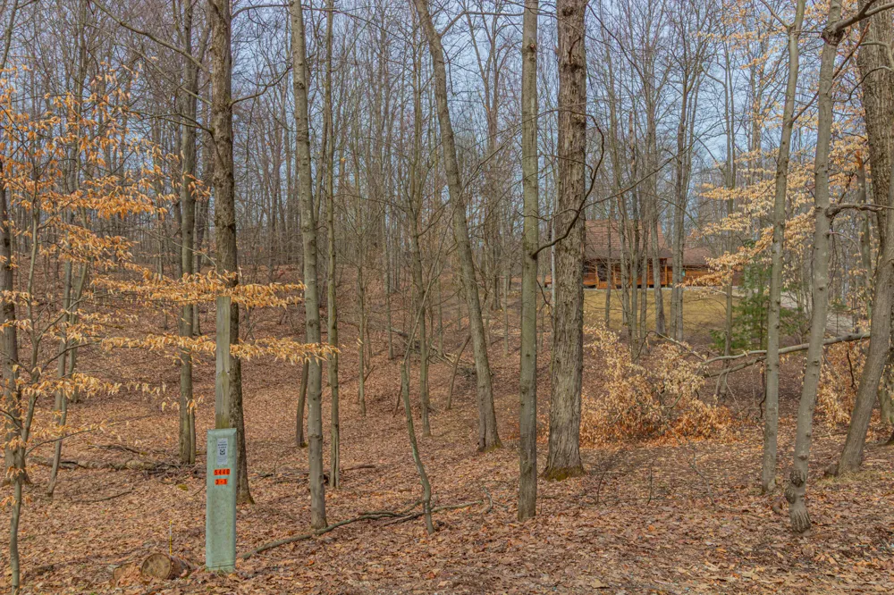 10082 Sante Fe Trail ##94 Canadian Lakes, MI 49346