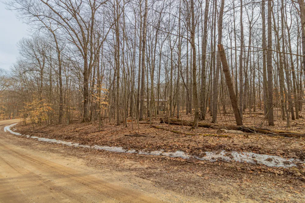 10082 Sante Fe Trail ##94 Canadian Lakes, MI 49346