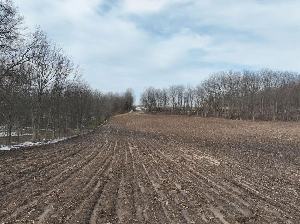Portage Road Niles, MI 49120