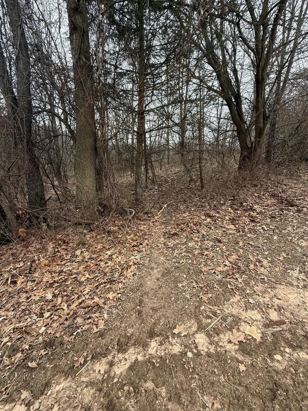Portage Road Niles, MI 49120