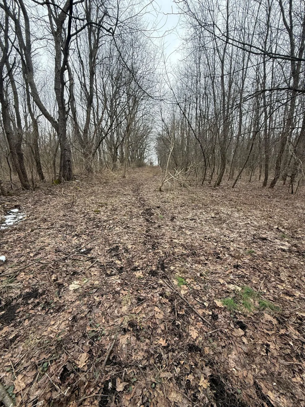 Portage Road Niles, MI 49120