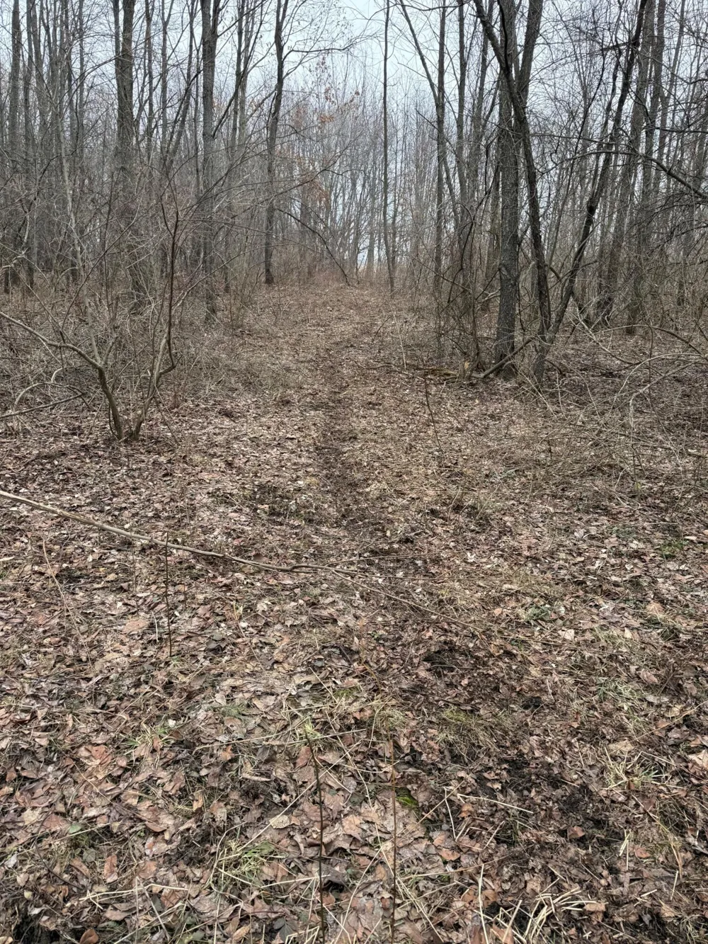 Portage Road Niles, MI 49120