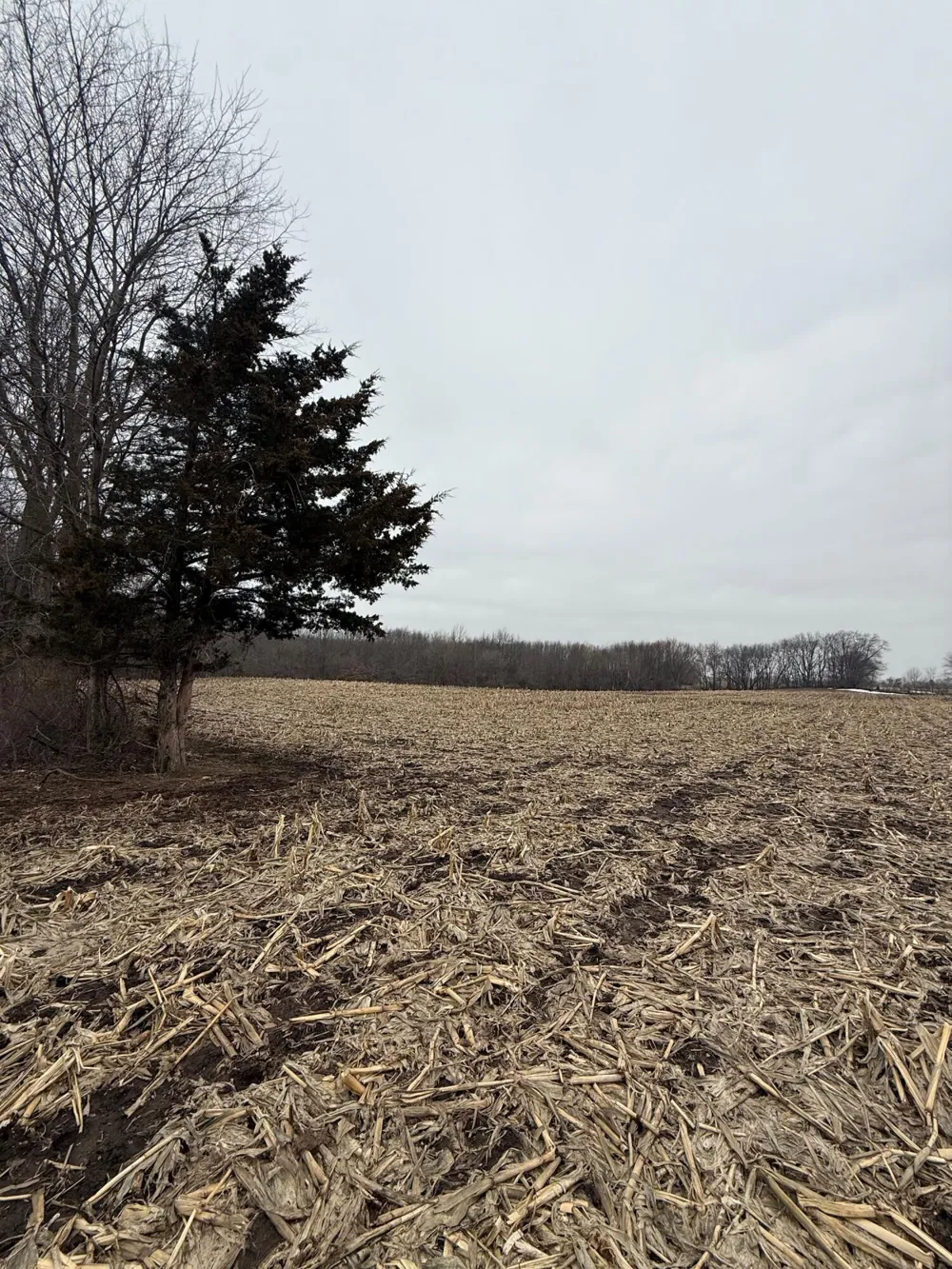 Portage Road Niles, MI 49120