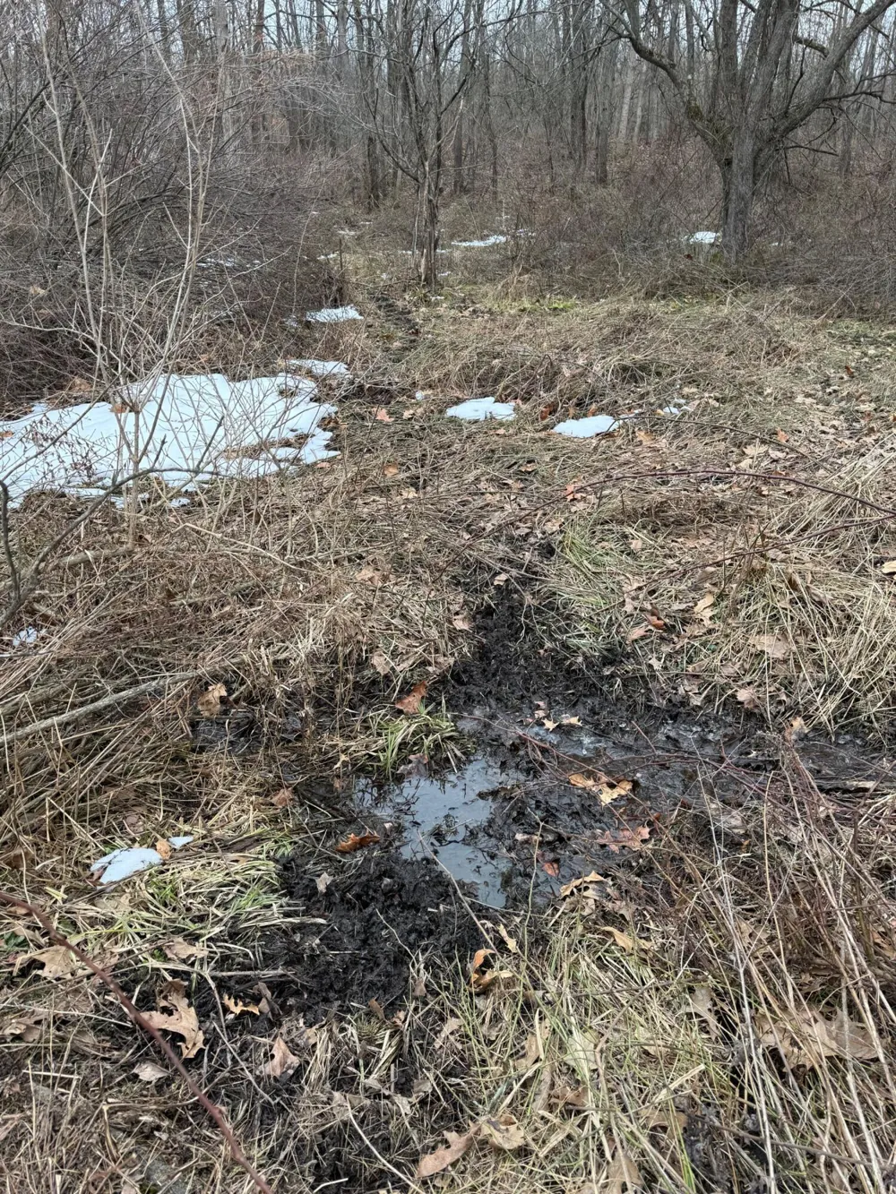Portage Road Niles, MI 49120