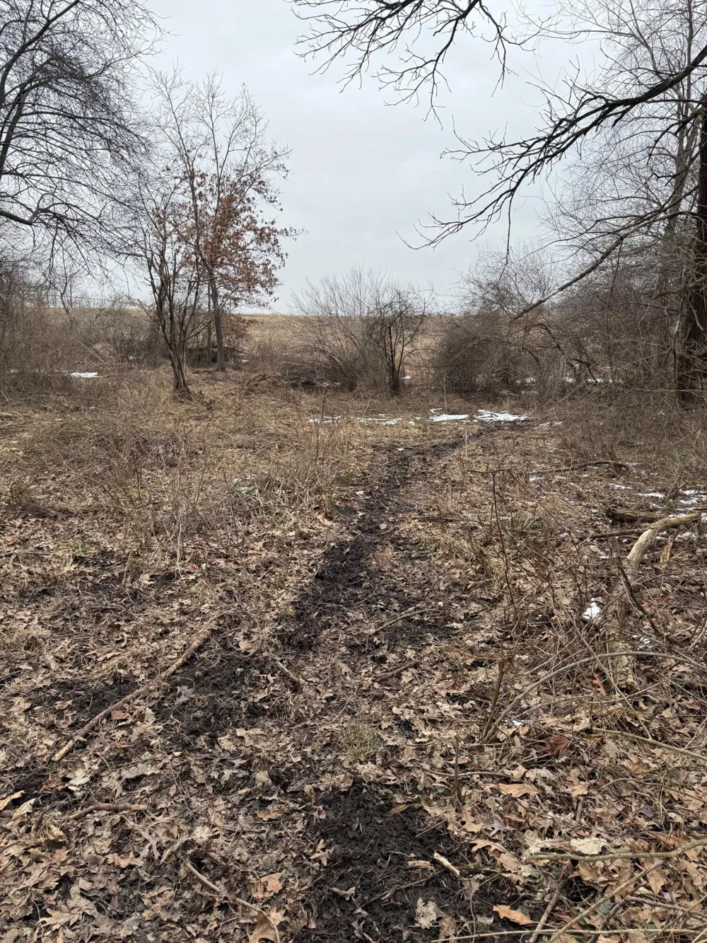 Portage Road Niles, MI 49120