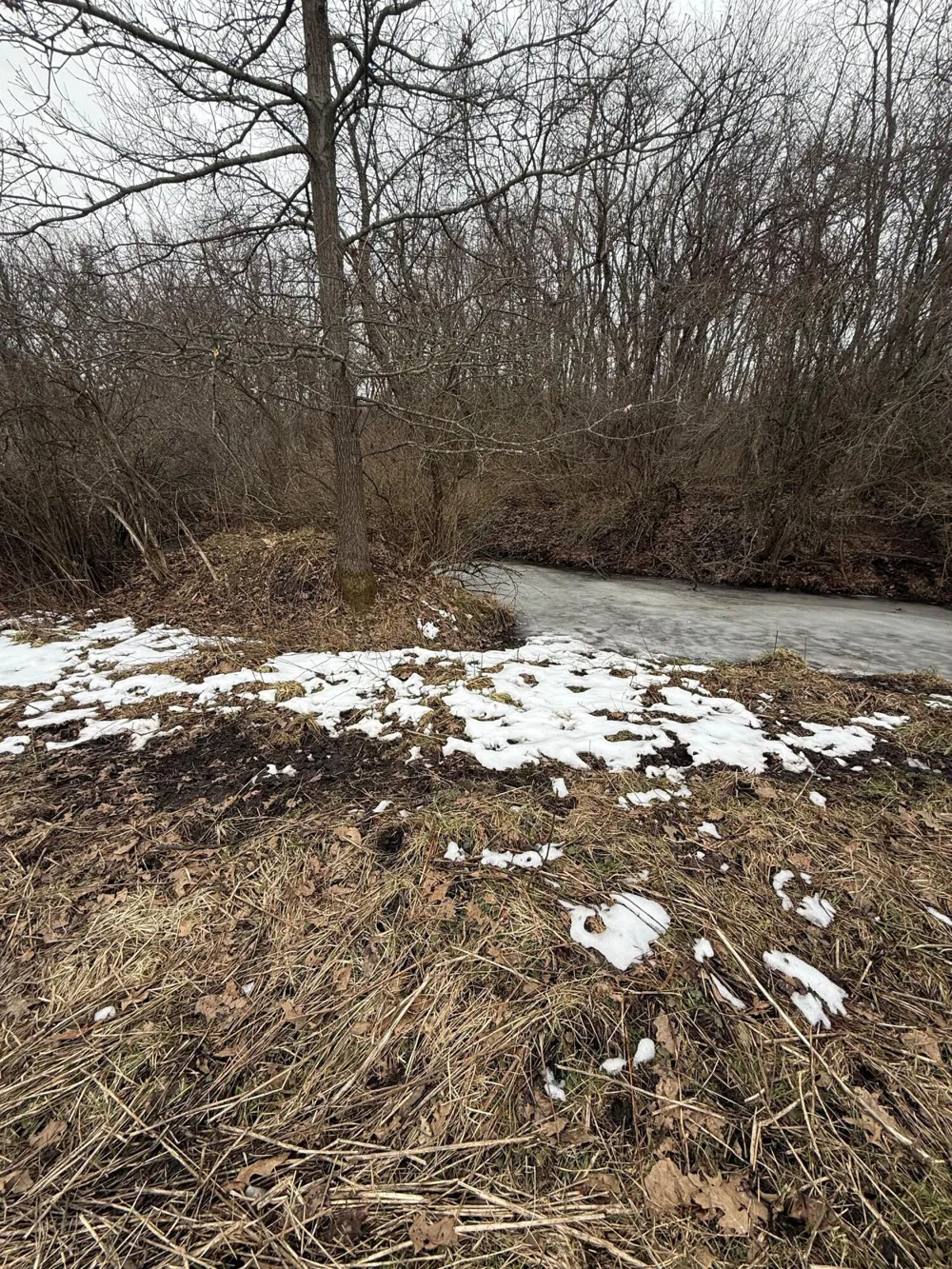 Portage Road Niles, MI 49120