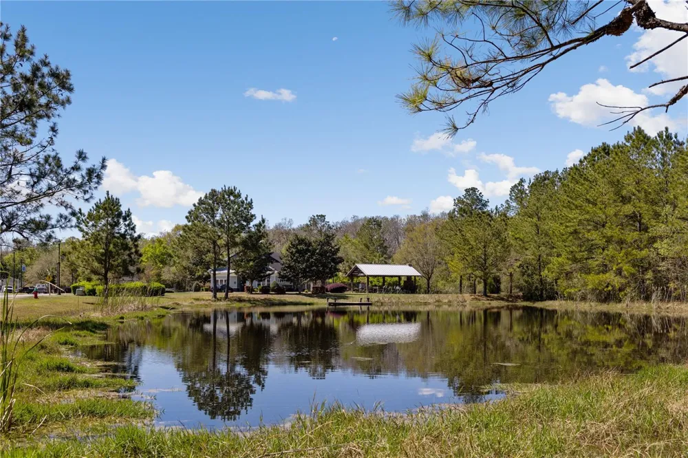 247 SW BELLFLOWER DRIVE Lake City, FL 32024