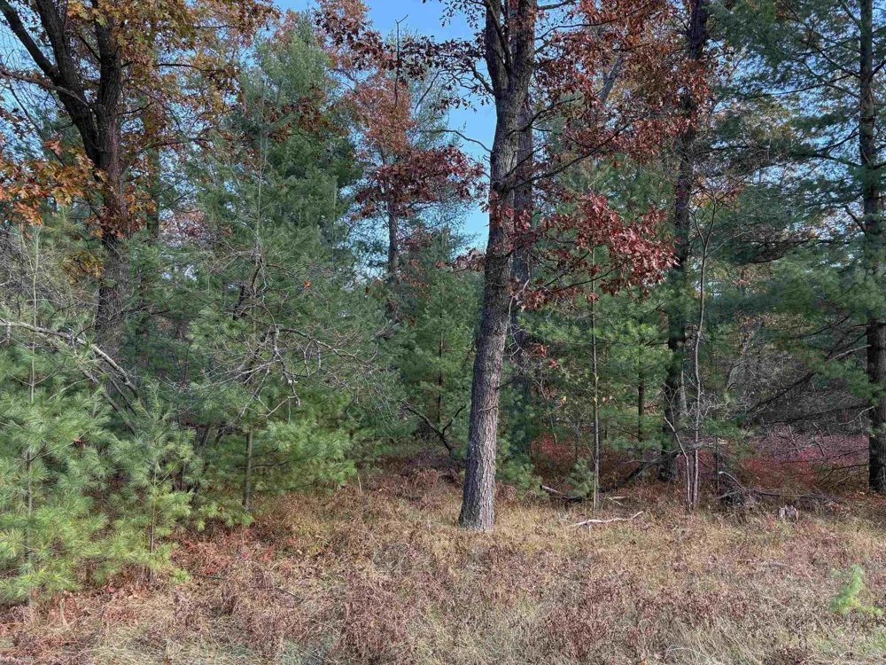 Wilderness Drive Moffatt Township, MI 48610