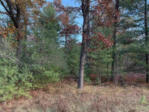 Wilderness Drive