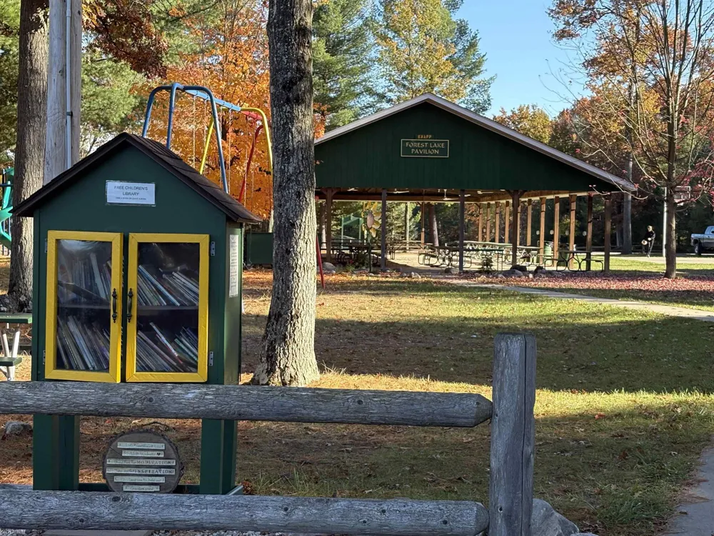 Wilderness Drive Moffatt Township, MI 48610