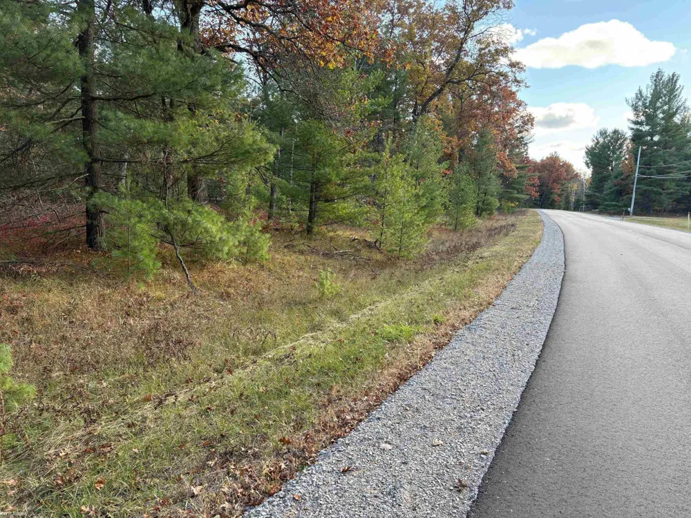 Wilderness Drive Moffatt Township, MI 48610
