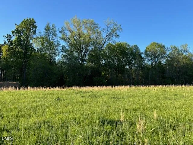 0 Lancaster Store Road Spring Hope, NC 27882
