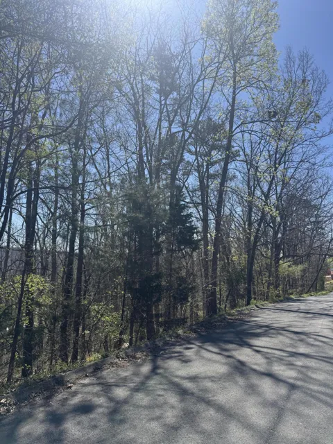21 Stoney Point Circle